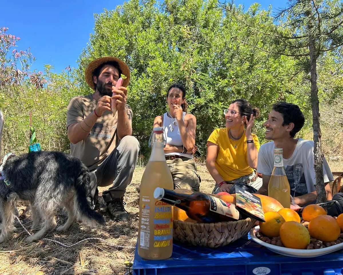 Una mesa de picnic compartida entre árboles